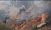 جنگلها و مراتع خوزستان آماده راه اندازی 2 پایگاه اطفای حریق