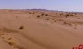 احیای ۶۰ هزار هکتار از عرصه‌های بیابانی گناباد