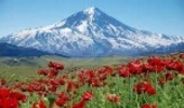 منابع طبیعی قابل وقف نیست