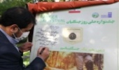 چهارمین جشنواره روز ملی جنگلبان برگزار شد (گزارش تصویری 2)