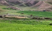 همدان/ 16 هزار هکتار از عرصه های منابع طبیعی اسد آباد مستعد اجرای طرح های آبخیزداری