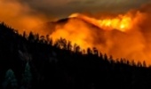 As wildfires continue in western United States, biologists fear for vulnerable species