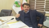 مدل مدیریت بر جنگل ها برداشت بدون چوب است/ همدلی در عین تفاوت نظر یک نعمت است