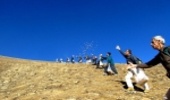 بذرپاشی افزون بر 7 هزار هکتار از مراتع جنوب کرمان آغاز شد