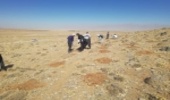 فارس/ احیاء هزار هکتار از مراتع روستای کافتر دشت نمدان اقلید 