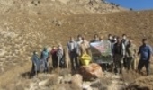 سمنان/ 375 هکتار از مراتع ییلاقی آرادان زیر کشت گیاهان دارویی است