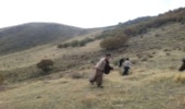 آغاز عملیات بیولوژیک آبخیزداری مراتع کردستان 