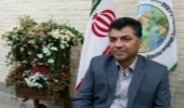 دستگیری 68 نفر به جرم حمل چوب قاچاق در شهرستان دامغان 