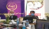 رییس سازمان جنگل ها: در برابر قطع یک درخت مسئول هستیم