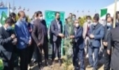 پارک جنگلی  250 هکتاری در همدان به مناسبت هفته منابع طبیعی افتتاح شد