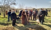 حجت الاسلام شهاب مرادی: درختکاری را از دوران مدرسه در کودکان نهادینه کنیم/ استارتاپ ها پای کار بیایند