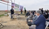 استاندار گلستان: بیابان زدایی و توسعه فضای سبز از مهمترین اولویت های استان است  