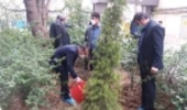 توسعه جنگل کاری و ایجاد فضای سبز یکی از نیازهای اصلی استان تهران