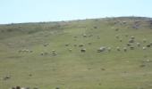 اردبیل/ بهره گیری از منابع آبی در مراتع خلخال ساماندهی شد