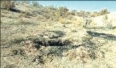 رسیدگی سالانه به 200پرونده منابع طبیعی در خلیل آباد