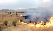 شناسایی نقاط بحرانی آتش‌سوزی در البرز