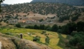 هفت میلیارد ریال برای حفاظت از منابع طبیعی آذربایجان غربی اختصاص یافت