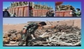 قوچان گلوگاه خروج چوب از خراسان رضوی