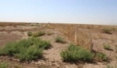 ۴۰ کیلومتر بادشکن در برابر شن‌های روان کویر شهرستان گرمسار ایجاد شد