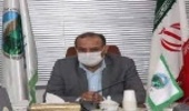پویش مردمی بذرکاری برای احیای جنگل‌های زاگرس در چهارمحال و بختیاری اجرا می‌شود
