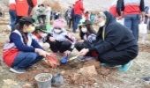 پویش مردمی بذرکاری احیا جنگل‌های زاگرس در کرمانشاه برگزار شد