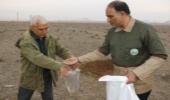 تامین معیشت دو هزار خانواده بهره‌بردار از مراتع استان قم