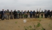آغاز پویش ایرانی سرسبز با عنوان "هر ایرانی یک درخت" در بوشهر
