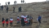 لرستان/آغاز پویش ملی جنگل کاری با بذر در دلفان