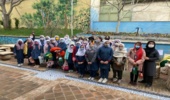 زیبایی دوچندان طبیعت با هیاهوی نهال‌ها