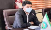 برداشت محصولات جنگلی و مرتعی جنوب کرمان ملزم به دریافت مجوز