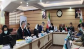  نشست ظرفیت سازی مدیریت مشارکتی جنگل و مرتع در بالادست حوضه کارون برگزار شد