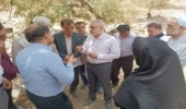 بیش از ۲۲ هزار هکتار با آفت برگ‌خوار درختان بلوط مبارزه شد/ تاکید بر مشارکت مردم در پایش جنگل‌های زاگرسی