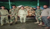 کشف و ضبط بیش از 2 تن چوب قاچاق در زنجان