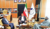 تولید یک میلیارد اصله نهال در مدت چهار سال در کشور