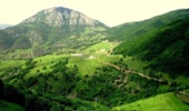 یادداشت / به مناسبت روز بین المللی ذخایر زیست کره 