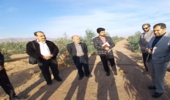 اردوی فرهنگی پایگاه مقاومت بسیج سازمان منابع طبیعی در کرمان برگزار شد