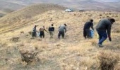 خراسان رضوی/ 200  هکتار از مراتع شهرستان سبزوار در سال گذشته بذرپاشی شد
