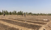 جذب یک میلیارد و 820 میلیون تومان مشارکت مردمی برای احداث نهالستان ثامن در قم