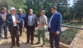 تولید بیش از ۲۴۸ میلیون اصله نهال/ ضرورت توجه دولت و مجلس به طرح کاشت یک میلیارد درخت در برنامه هفتم توسعه