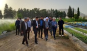 فارس/ قدردانی امام جمعه شیراز از طرح مردمی کاشت یک میلیارد درخت
