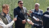 کاهش پرونده‌های قاچاق چوب در استان سمنان/رسانه‌ها فرهنگ‌سازی کنند