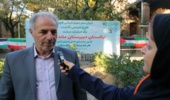 عبور موفقیت‌آمیز از پیچ فنی تولید نهال/ بیش از ۹۲۲ هزار هکتار اراضی مستعد زراعت چوب است