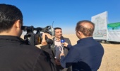 همزمان با سراسر کشور؛ آغاز کاشت مردمی نهال در استان قم