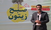 کاشت 10 هزار نهال زیتون به یاد شهدای فلسطین در قم