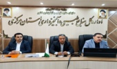 ضرورت حمایت دولت از طرح کاشت یک میلیارد درخت