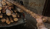 اصفهان/ کشف ۶ تن چوب بلوط در کارگاه تولید زغال خمینی‌شهر؛ یک نفر دستگیر شد