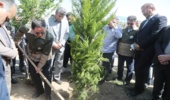 پویش سرو ایران نماد ایستادگی و رویش دوباره ملت است/ کاشت نهال در ۲۹ فروردین همزمان با روز ارتش و سالروز تولد امام شهید در قالب پویش سرو ایران