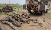 کشف محموله چوب قاچاق در قائم‌شهر؛ 6 متهم دستگیر شدند
