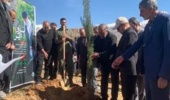 غرس بیش از 400 هزار اصله نهال در شهرستان کهگیلویه
