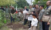 کاشت بیش از یک‌میلیون و 350 هزار نهال در گلستان